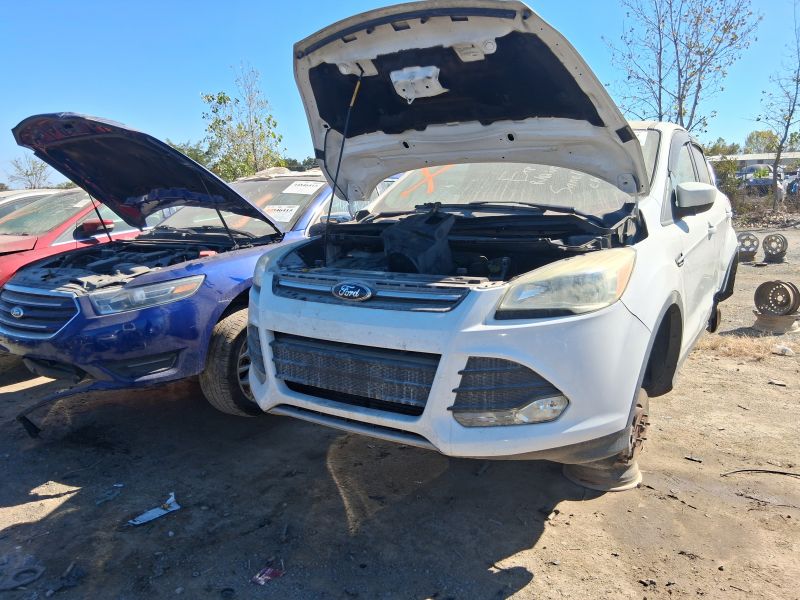 2016 Escape