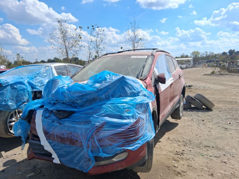 2013 Escape